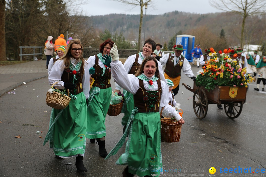 Fasnet Festumzug mit Motivwagen : Stockach am Bodensee, 01.02.2015