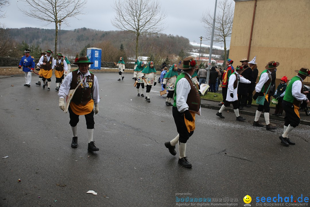 Fasnet Festumzug mit Motivwagen : Stockach am Bodensee, 01.02.2015