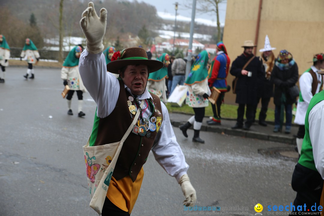 Fasnet Festumzug mit Motivwagen : Stockach am Bodensee, 01.02.2015