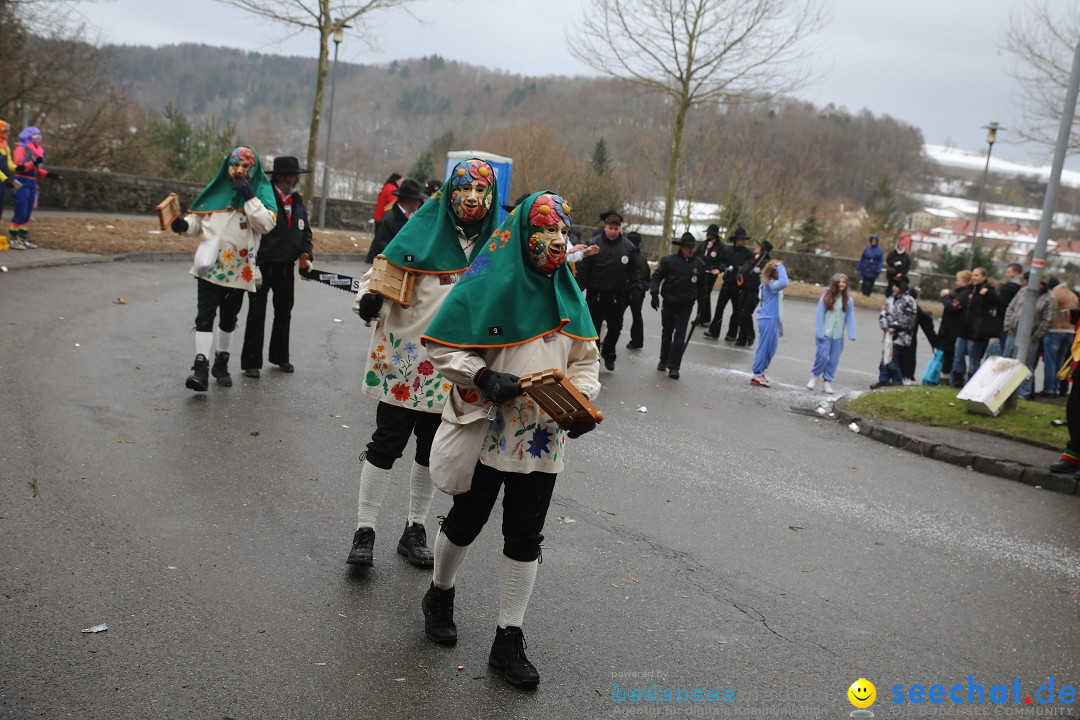 Fasnet Festumzug mit Motivwagen : Stockach am Bodensee, 01.02.2015