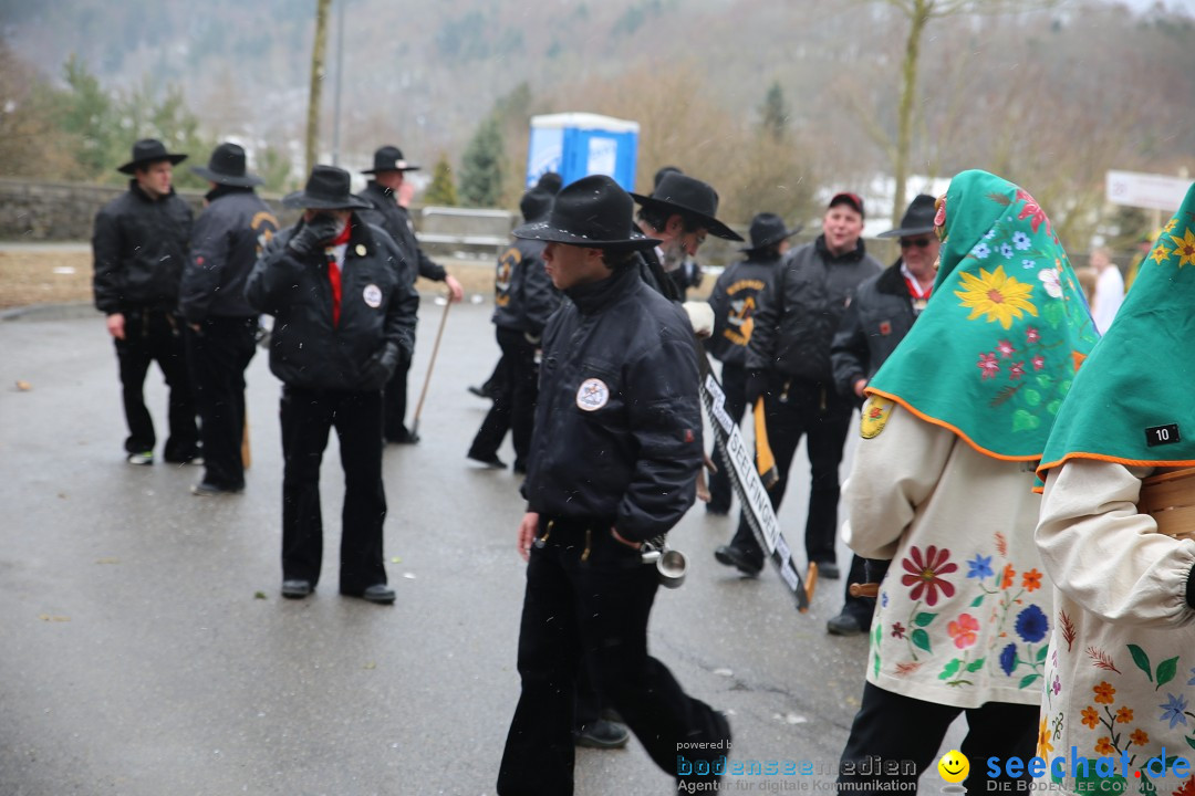 Fasnet Festumzug mit Motivwagen : Stockach am Bodensee, 01.02.2015