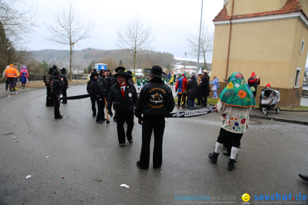 Fasnet Festumzug mit Motivwagen : Stockach am Bodensee, 01.02.2015