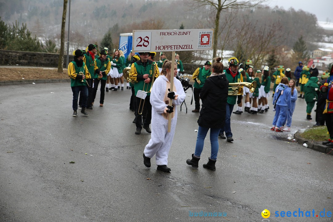 Fasnet Festumzug mit Motivwagen : Stockach am Bodensee, 01.02.2015