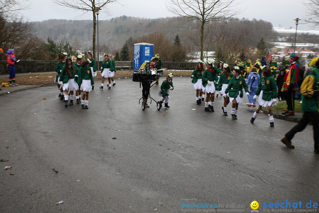 Fasnet Festumzug mit Motivwagen : Stockach am Bodensee, 01.02.2015