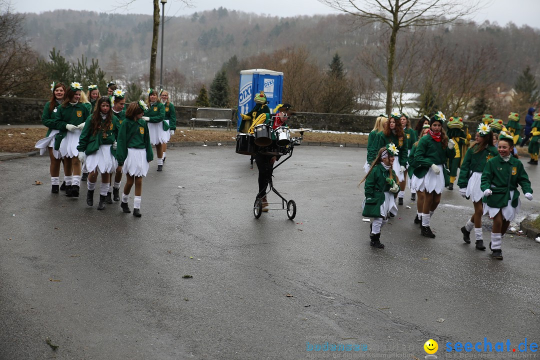 Fasnet Festumzug mit Motivwagen : Stockach am Bodensee, 01.02.2015