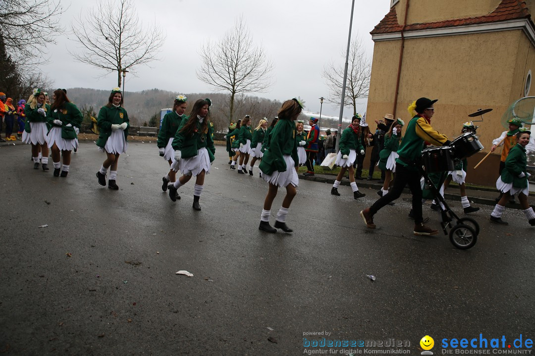 Fasnet Festumzug mit Motivwagen : Stockach am Bodensee, 01.02.2015