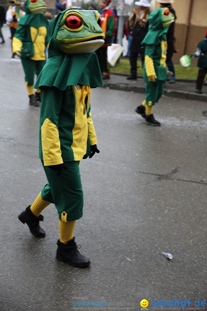 Fasnet Festumzug mit Motivwagen : Stockach am Bodensee, 01.02.2015