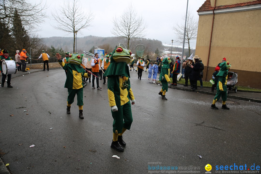 Fasnet Festumzug mit Motivwagen : Stockach am Bodensee, 01.02.2015