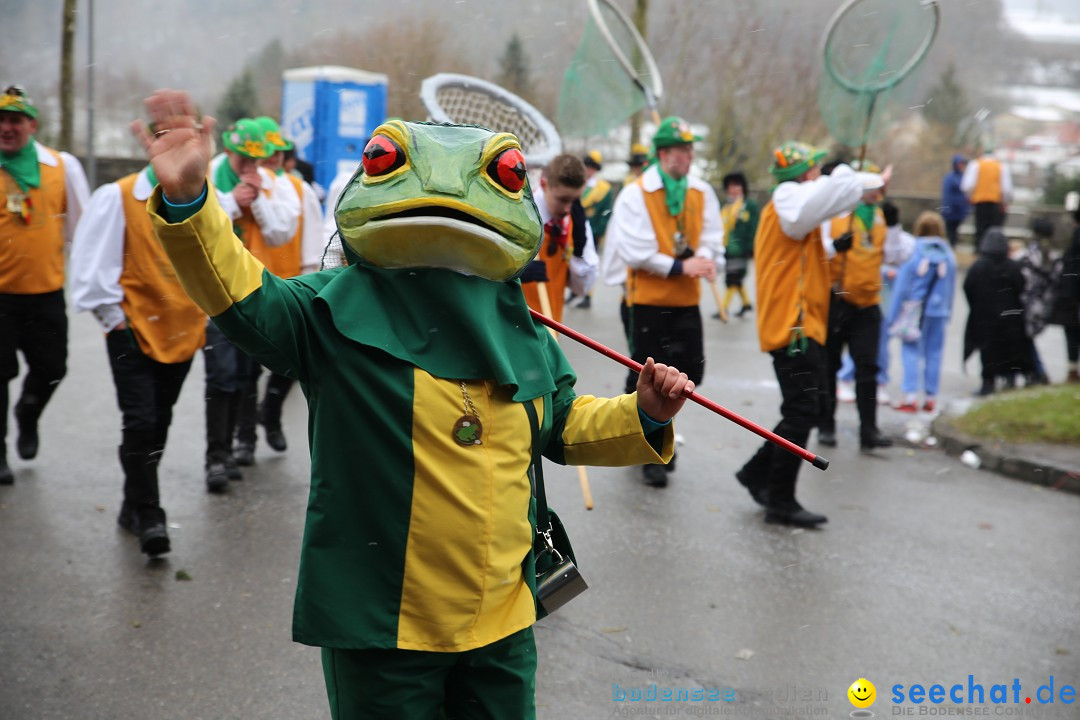 Fasnet Festumzug mit Motivwagen : Stockach am Bodensee, 01.02.2015