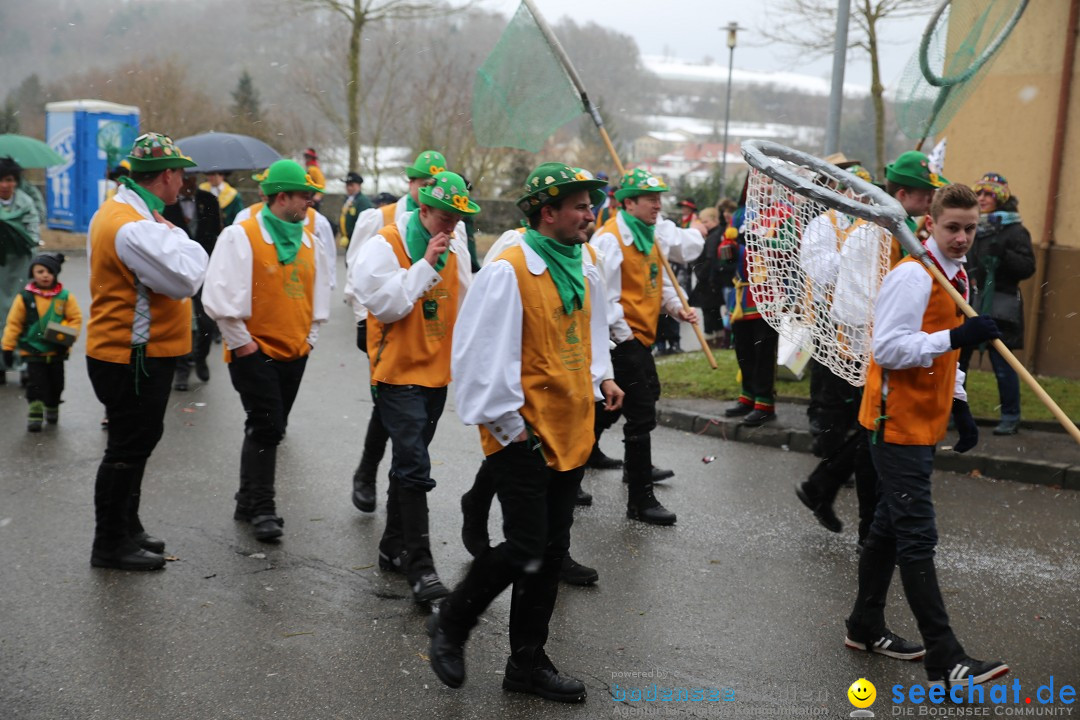 Fasnet Festumzug mit Motivwagen : Stockach am Bodensee, 01.02.2015