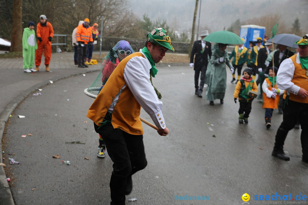 Fasnet Festumzug mit Motivwagen : Stockach am Bodensee, 01.02.2015