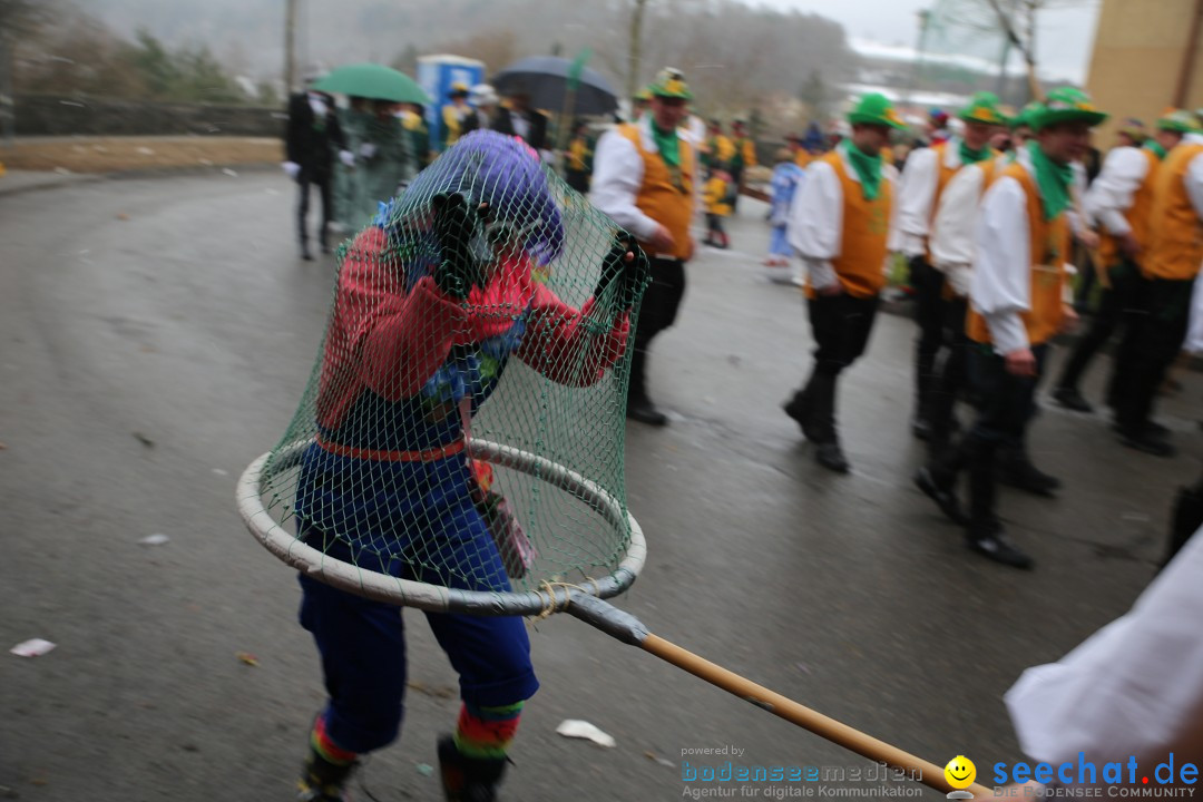 Fasnet Festumzug mit Motivwagen : Stockach am Bodensee, 01.02.2015