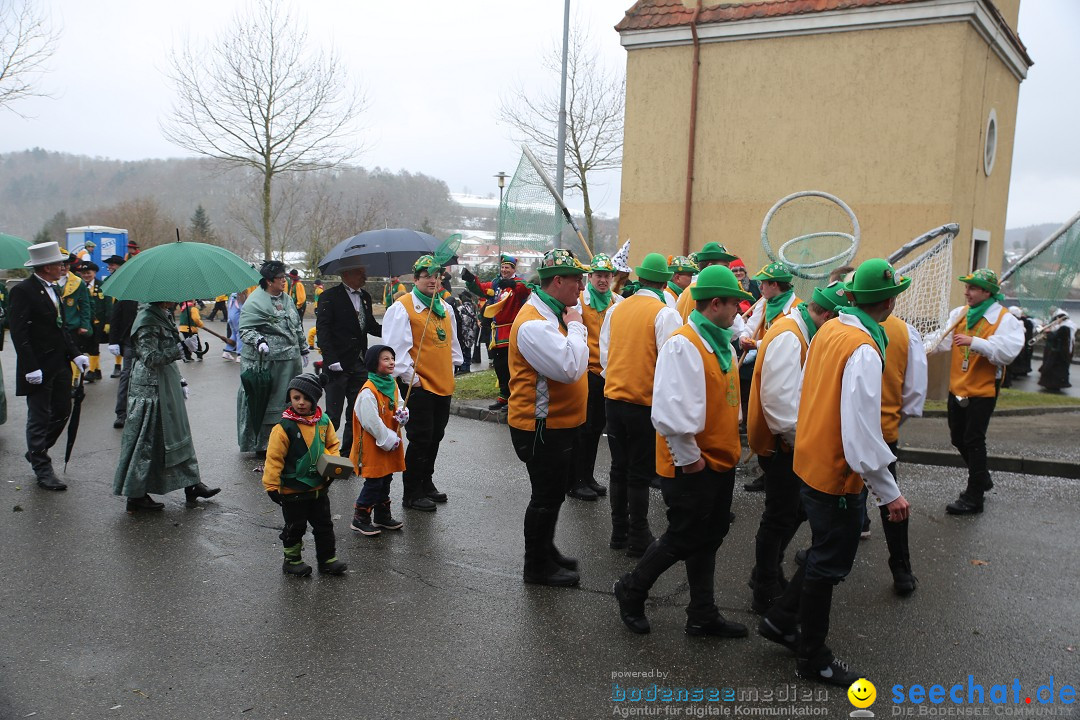 Fasnet Festumzug mit Motivwagen : Stockach am Bodensee, 01.02.2015