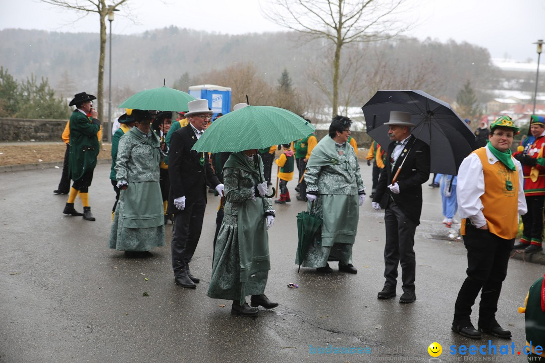 Fasnet Festumzug mit Motivwagen : Stockach am Bodensee, 01.02.2015