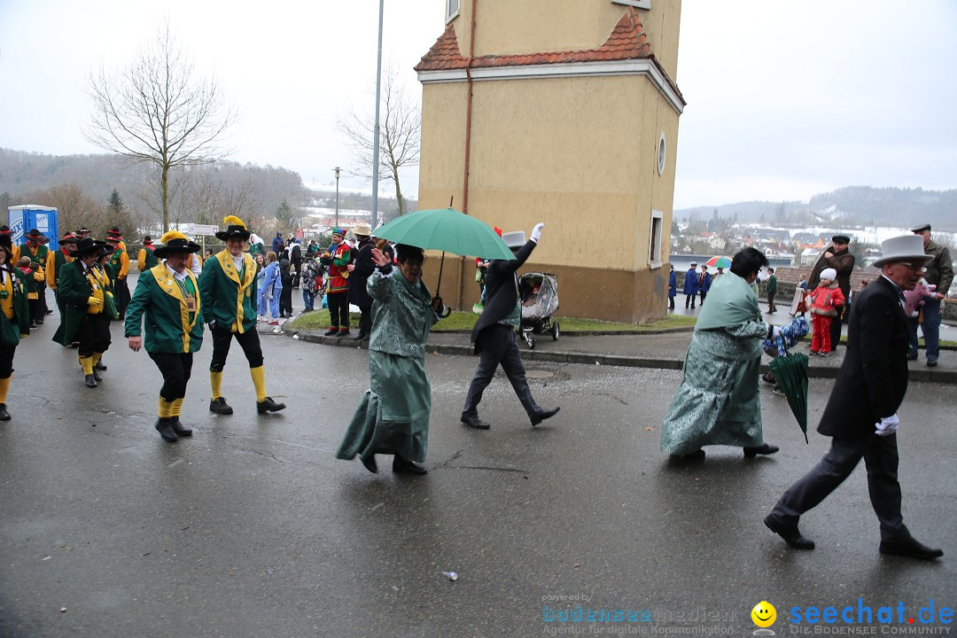 Fasnet Festumzug mit Motivwagen : Stockach am Bodensee, 01.02.2015