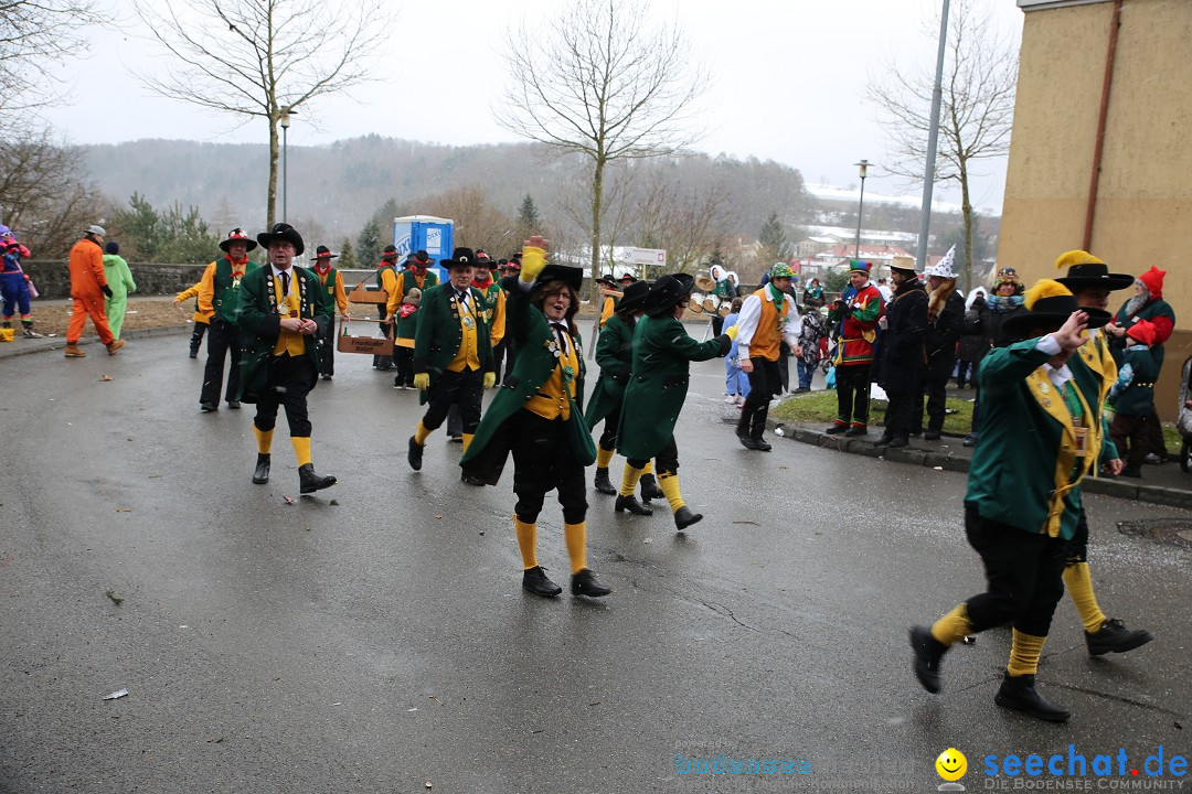 Fasnet Festumzug mit Motivwagen : Stockach am Bodensee, 01.02.2015