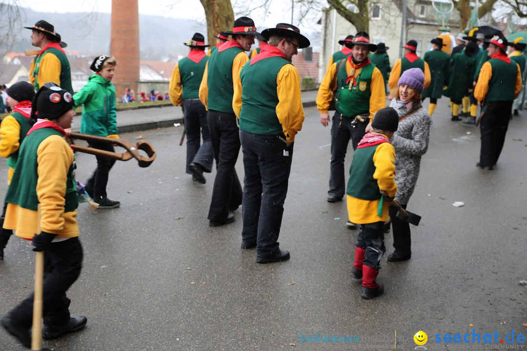 Fasnet Festumzug mit Motivwagen : Stockach am Bodensee, 01.02.2015