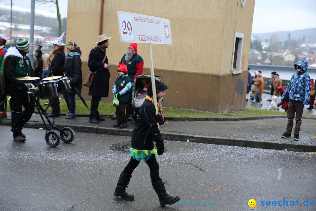 Fasnet Festumzug mit Motivwagen : Stockach am Bodensee, 01.02.2015