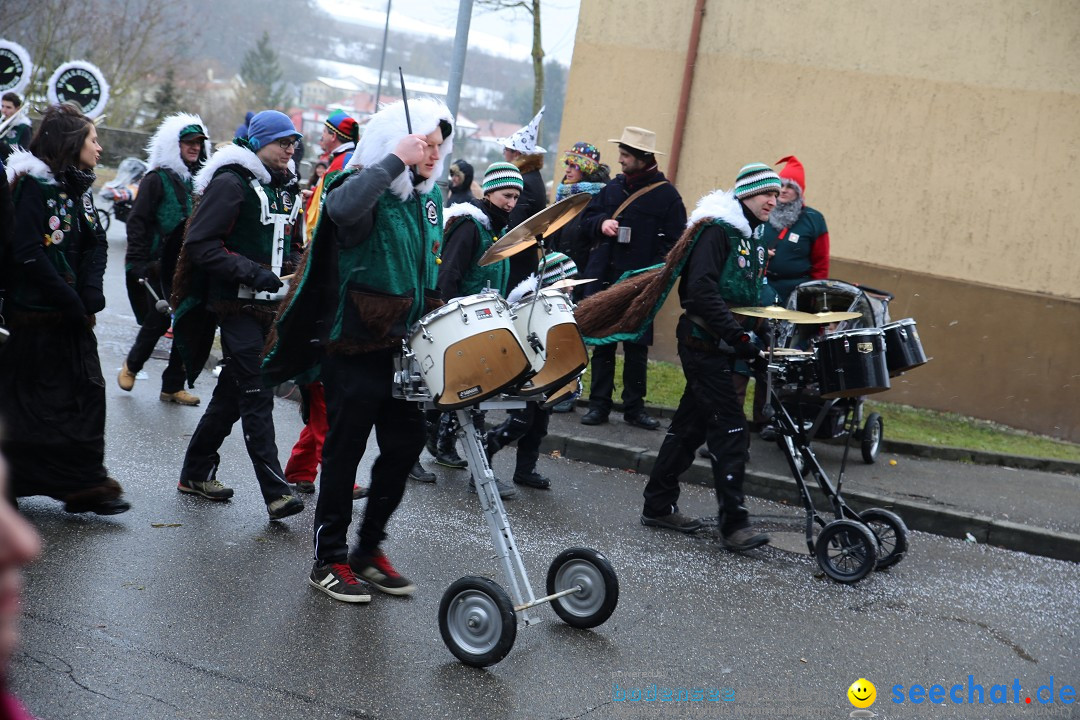 Fasnet Festumzug mit Motivwagen : Stockach am Bodensee, 01.02.2015