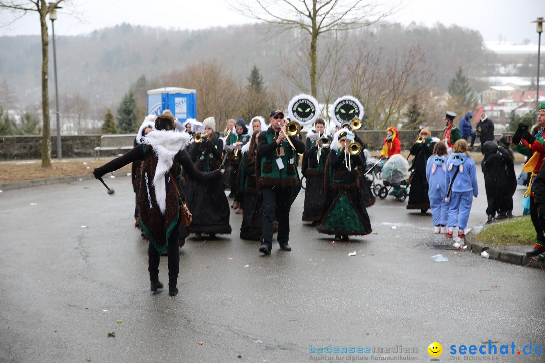 Fasnet Festumzug mit Motivwagen : Stockach am Bodensee, 01.02.2015