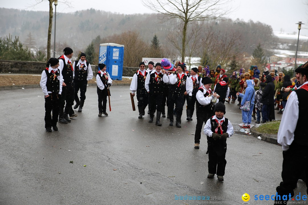 Fasnet Festumzug mit Motivwagen : Stockach am Bodensee, 01.02.2015