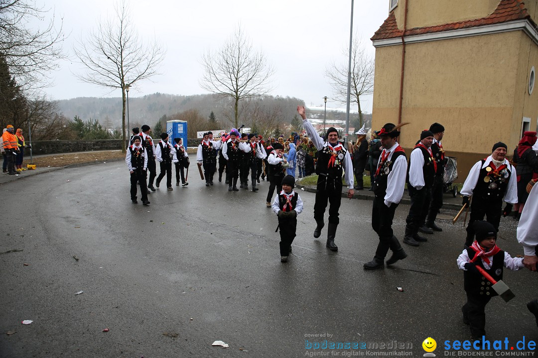 Fasnet Festumzug mit Motivwagen : Stockach am Bodensee, 01.02.2015