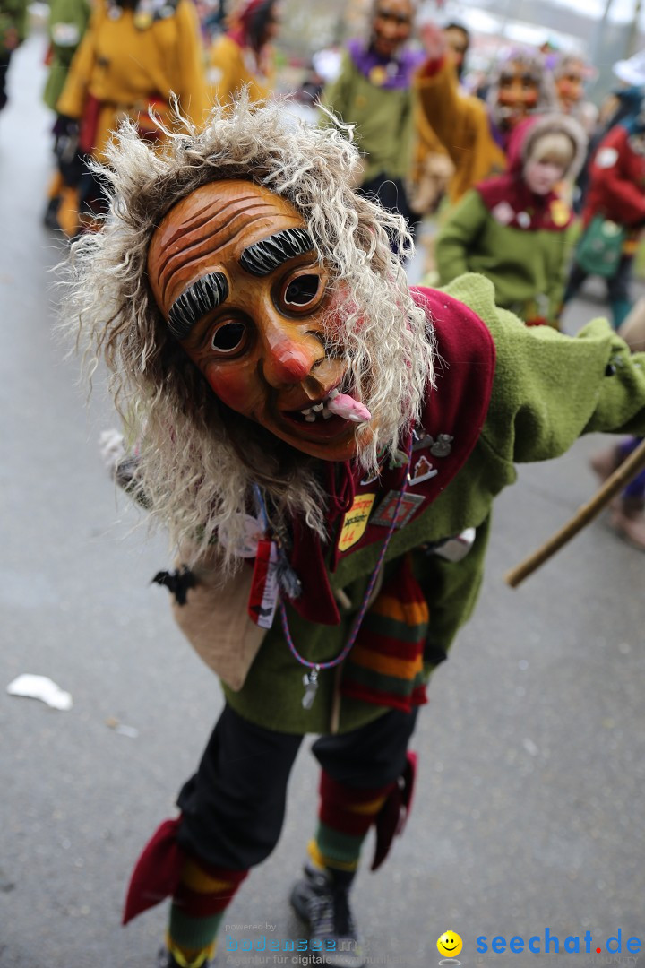 Fasnet Festumzug mit Motivwagen : Stockach am Bodensee, 01.02.2015