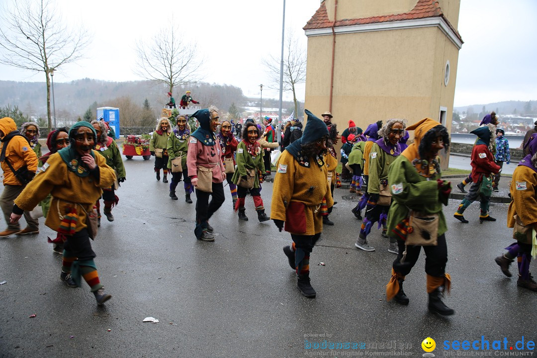 Fasnet Festumzug mit Motivwagen : Stockach am Bodensee, 01.02.2015