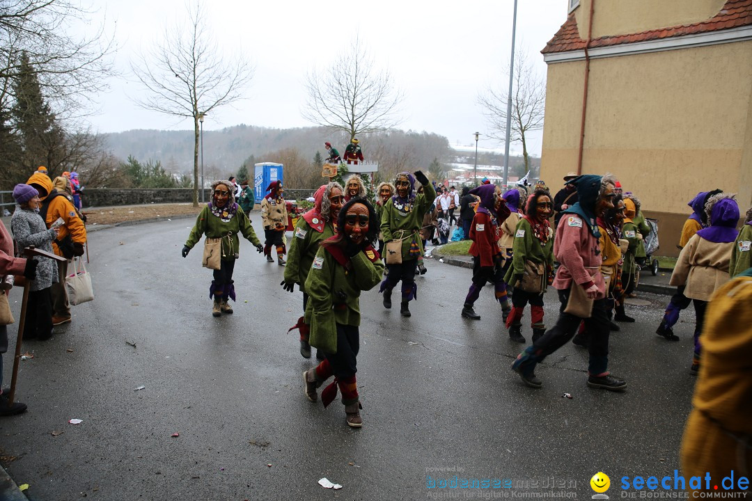 Fasnet Festumzug mit Motivwagen : Stockach am Bodensee, 01.02.2015