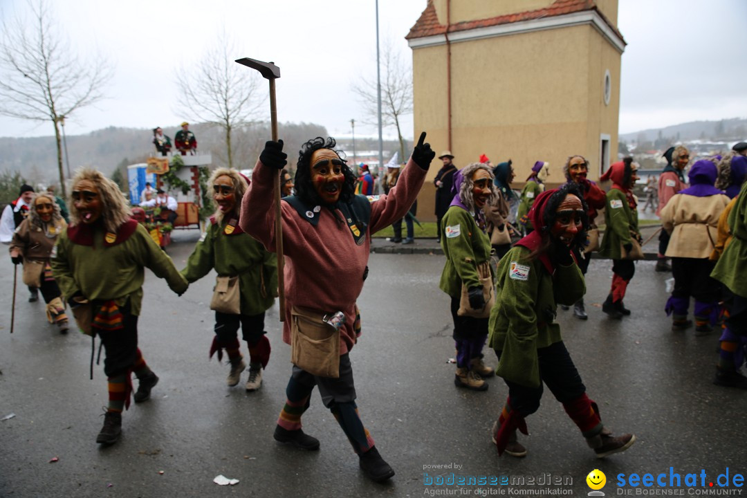 Fasnet Festumzug mit Motivwagen : Stockach am Bodensee, 01.02.2015