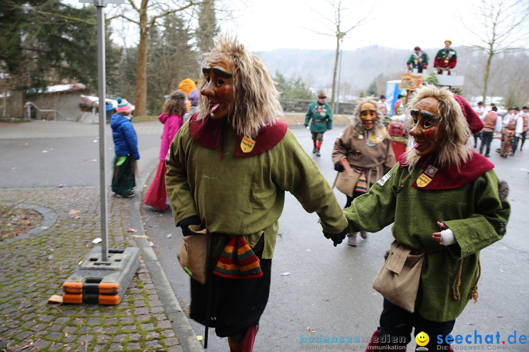 Fasnet Festumzug mit Motivwagen : Stockach am Bodensee, 01.02.2015