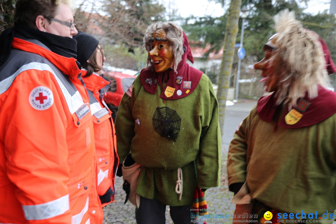 Fasnet Festumzug mit Motivwagen : Stockach am Bodensee, 01.02.2015