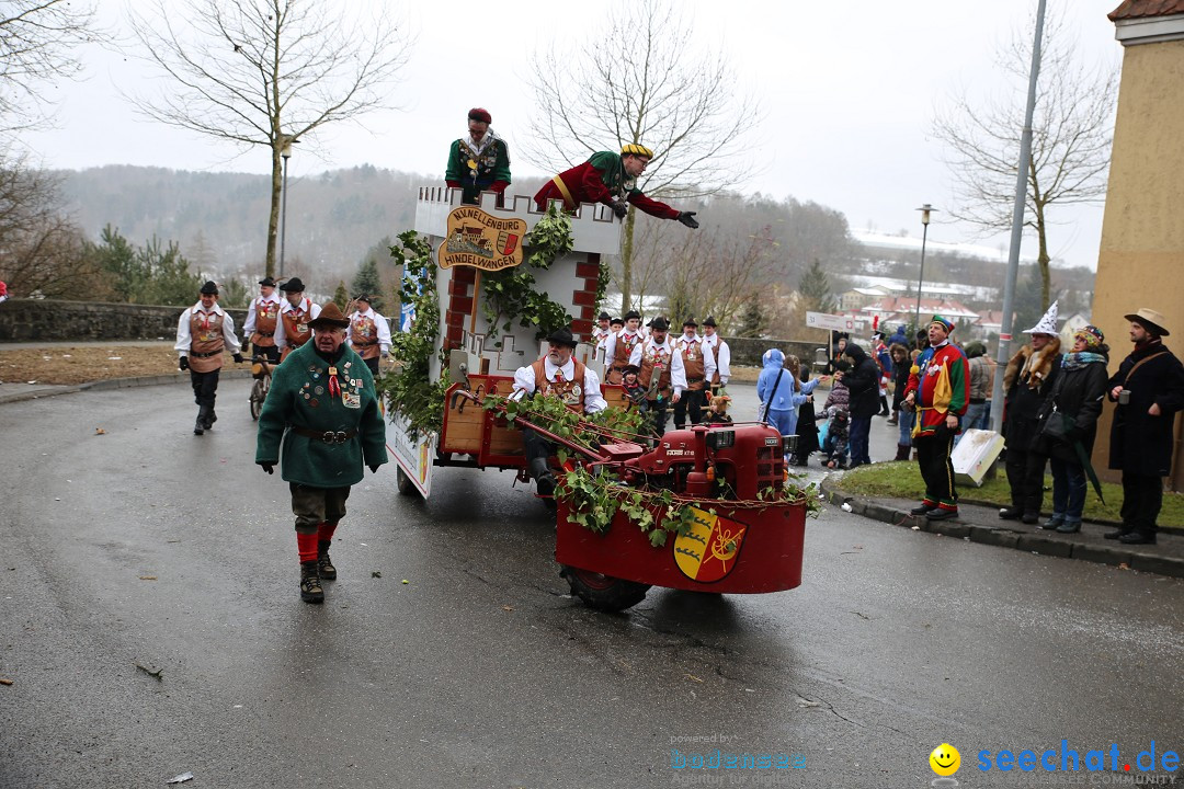 Fasnet Festumzug mit Motivwagen : Stockach am Bodensee, 01.02.2015