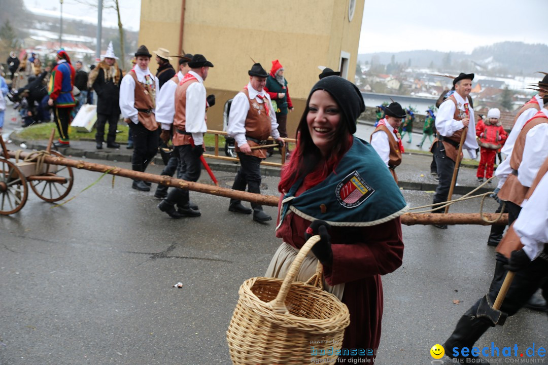 Fasnet Festumzug mit Motivwagen : Stockach am Bodensee, 01.02.2015