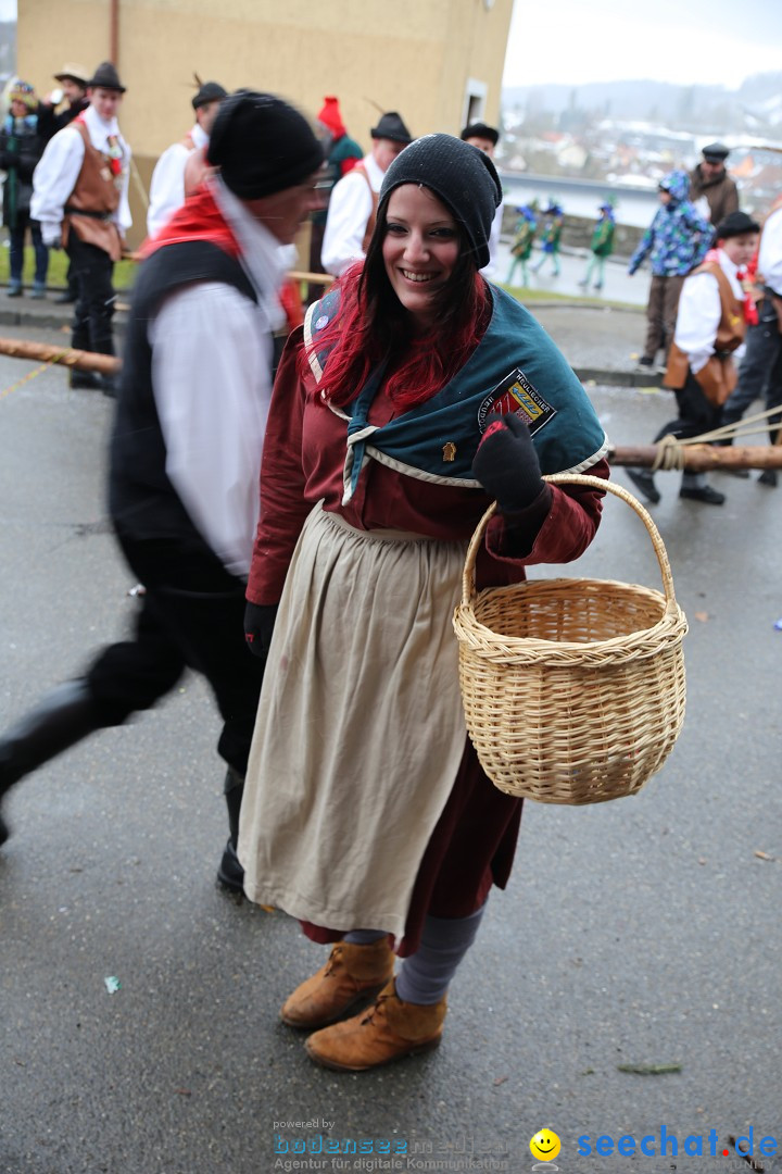 Fasnet Festumzug mit Motivwagen : Stockach am Bodensee, 01.02.2015