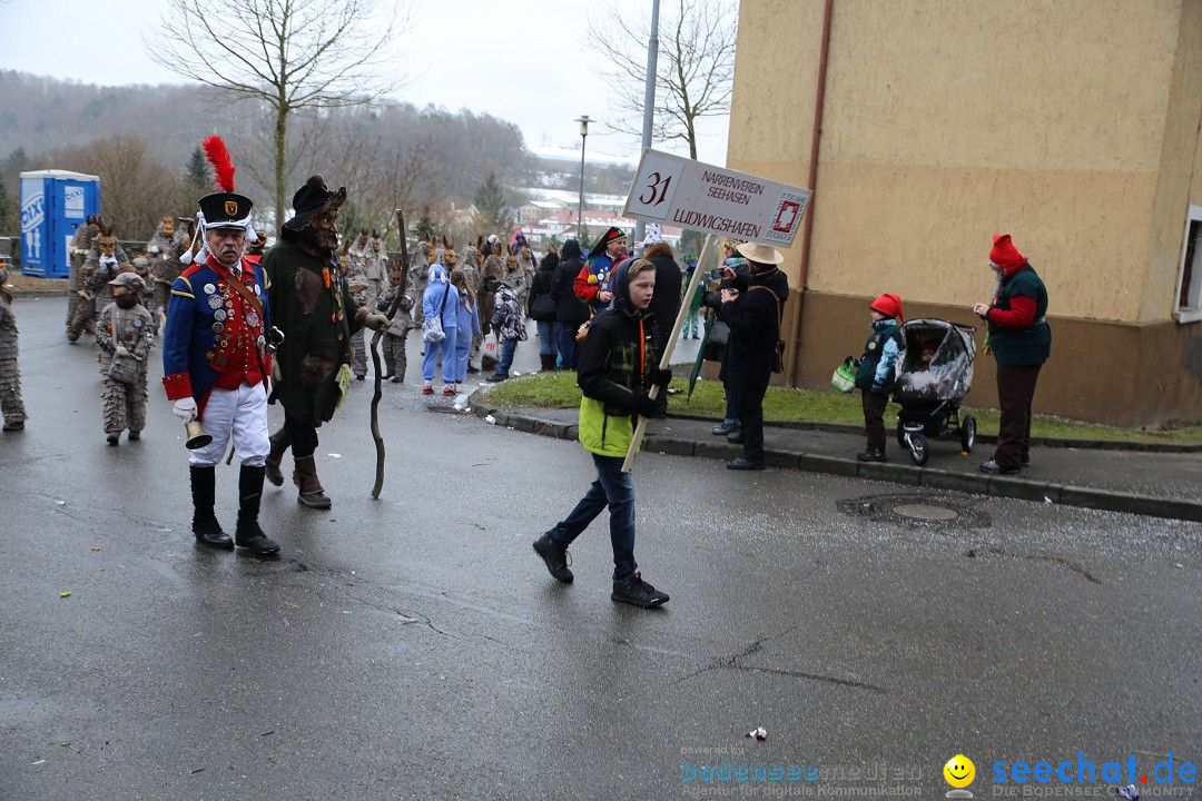 Fasnet Festumzug mit Motivwagen : Stockach am Bodensee, 01.02.2015