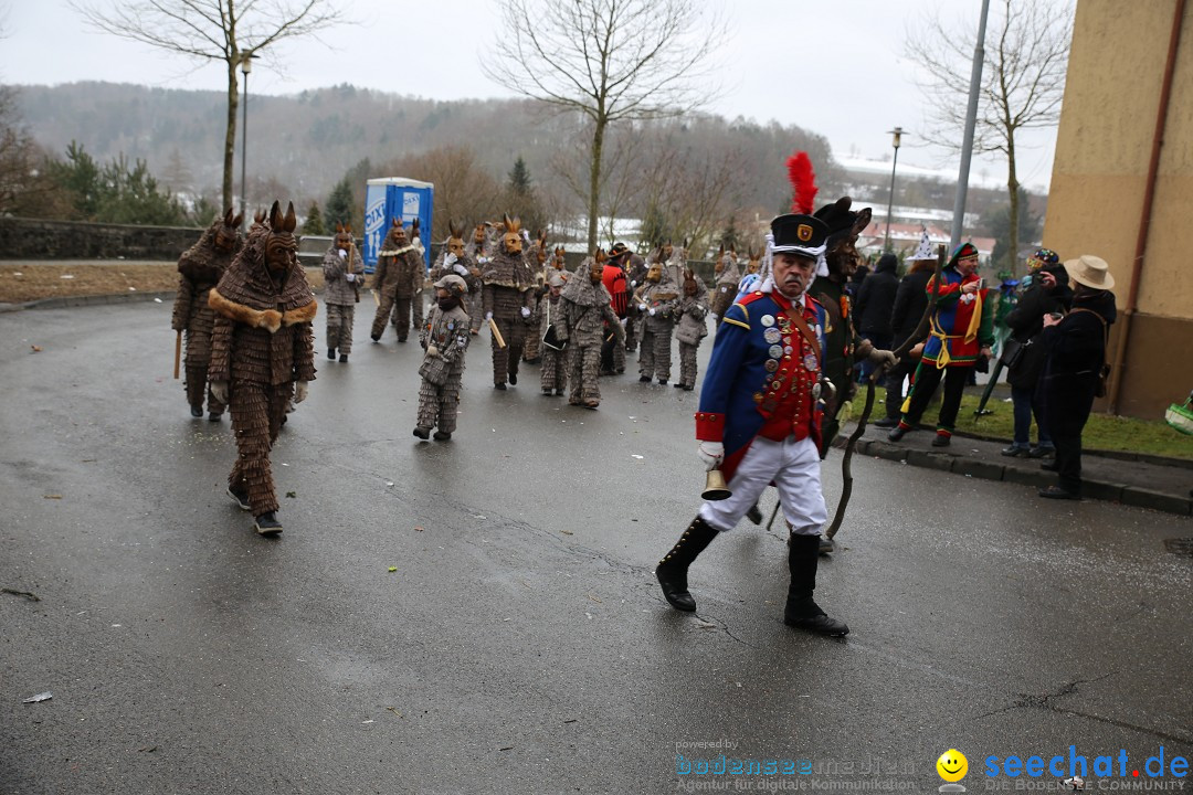 Fasnet Festumzug mit Motivwagen : Stockach am Bodensee, 01.02.2015