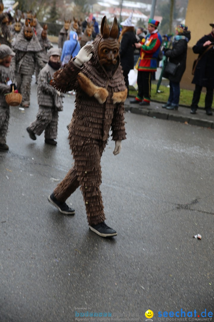 Fasnet Festumzug mit Motivwagen : Stockach am Bodensee, 01.02.2015