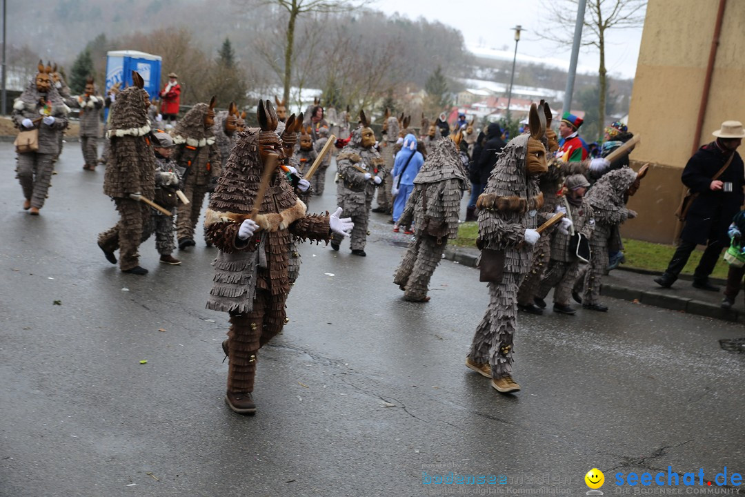 Fasnet Festumzug mit Motivwagen : Stockach am Bodensee, 01.02.2015