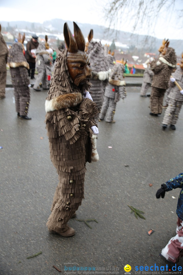 Fasnet Festumzug mit Motivwagen : Stockach am Bodensee, 01.02.2015