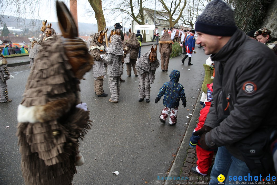 Fasnet Festumzug mit Motivwagen : Stockach am Bodensee, 01.02.2015