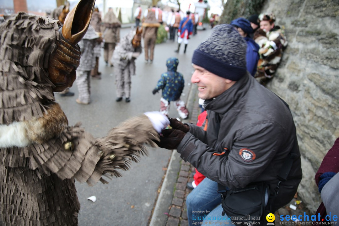 Fasnet Festumzug mit Motivwagen : Stockach am Bodensee, 01.02.2015