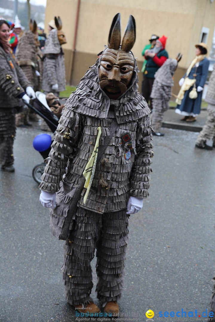 Fasnet Festumzug mit Motivwagen : Stockach am Bodensee, 01.02.2015