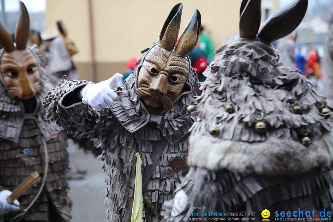 Fasnet Festumzug mit Motivwagen : Stockach am Bodensee, 01.02.2015