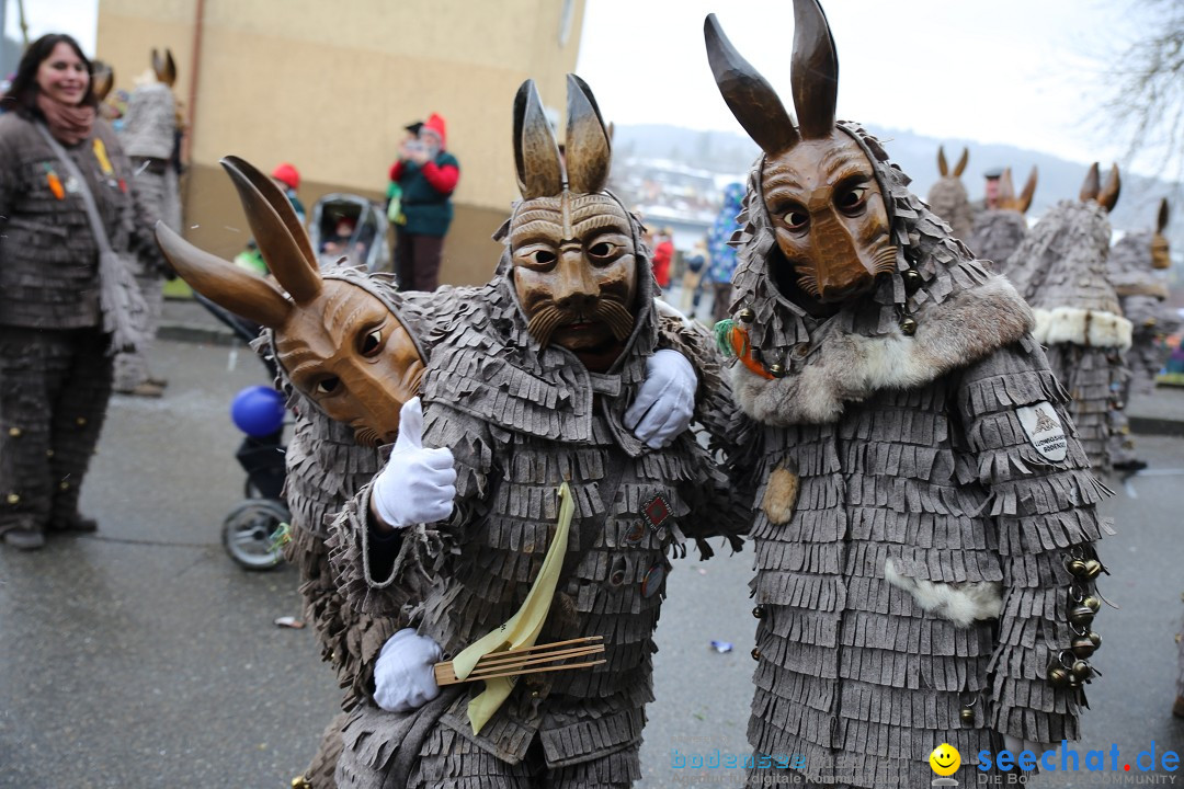 Fasnet Festumzug mit Motivwagen : Stockach am Bodensee, 01.02.2015