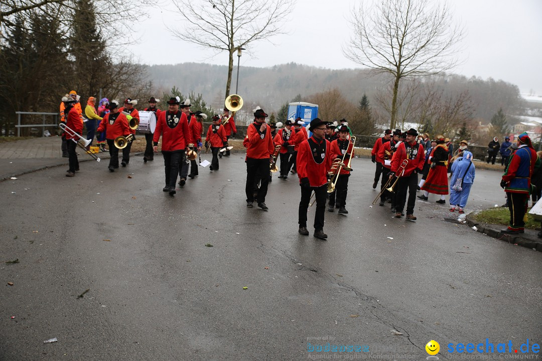 Fasnet Festumzug mit Motivwagen : Stockach am Bodensee, 01.02.2015