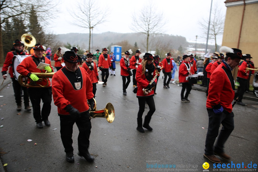 Fasnet Festumzug mit Motivwagen : Stockach am Bodensee, 01.02.2015