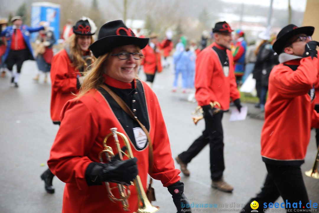 Fasnet Festumzug mit Motivwagen : Stockach am Bodensee, 01.02.2015