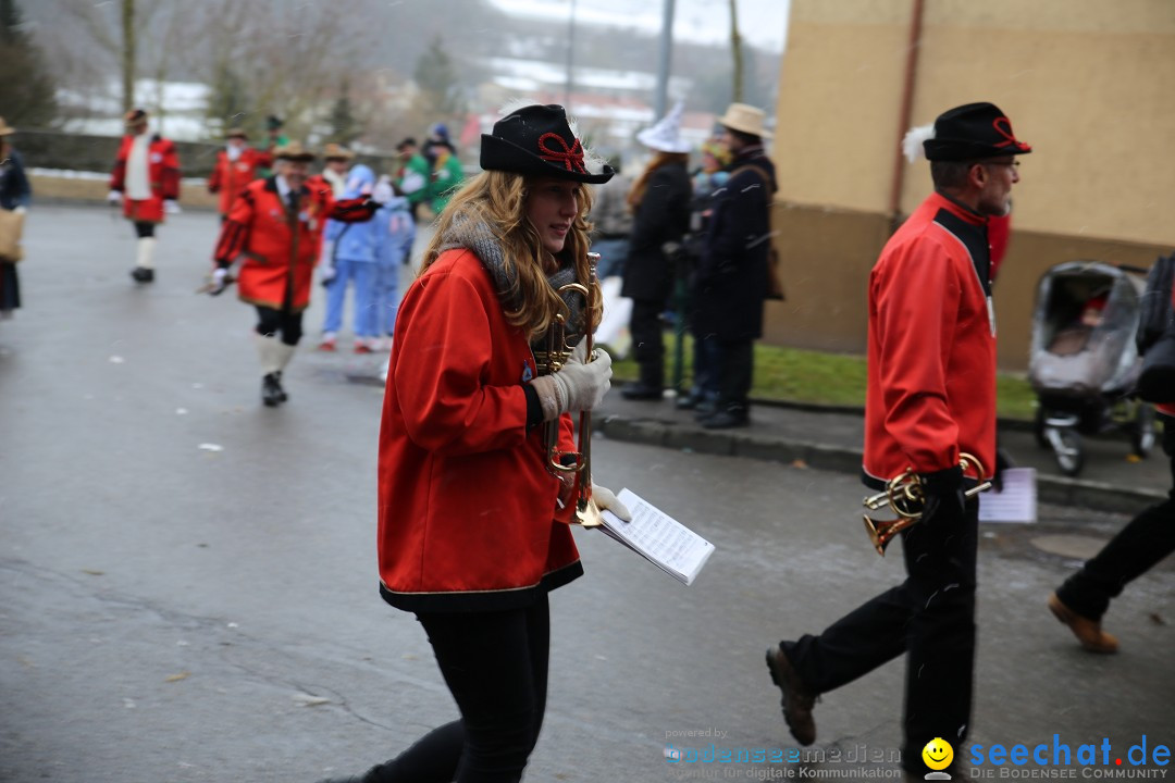 Fasnet Festumzug mit Motivwagen : Stockach am Bodensee, 01.02.2015