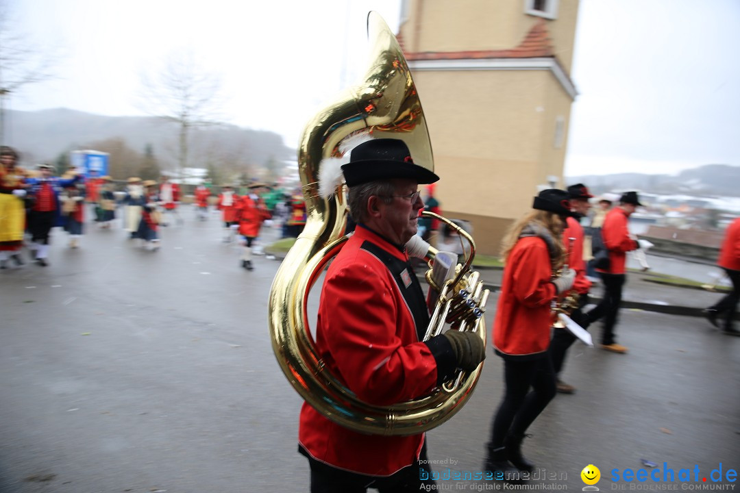 Fasnet Festumzug mit Motivwagen : Stockach am Bodensee, 01.02.2015